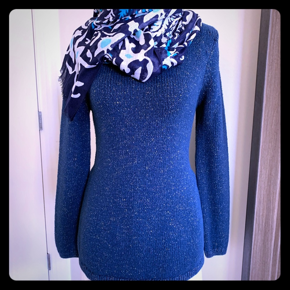 Ann Taylor Sweater
